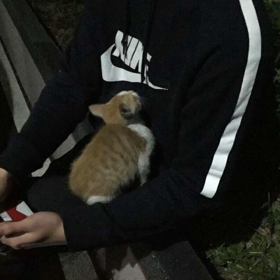 潮男与猫系列微信时尚头像合集下载