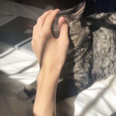 潮男与猫系列微信时尚头像合集下载