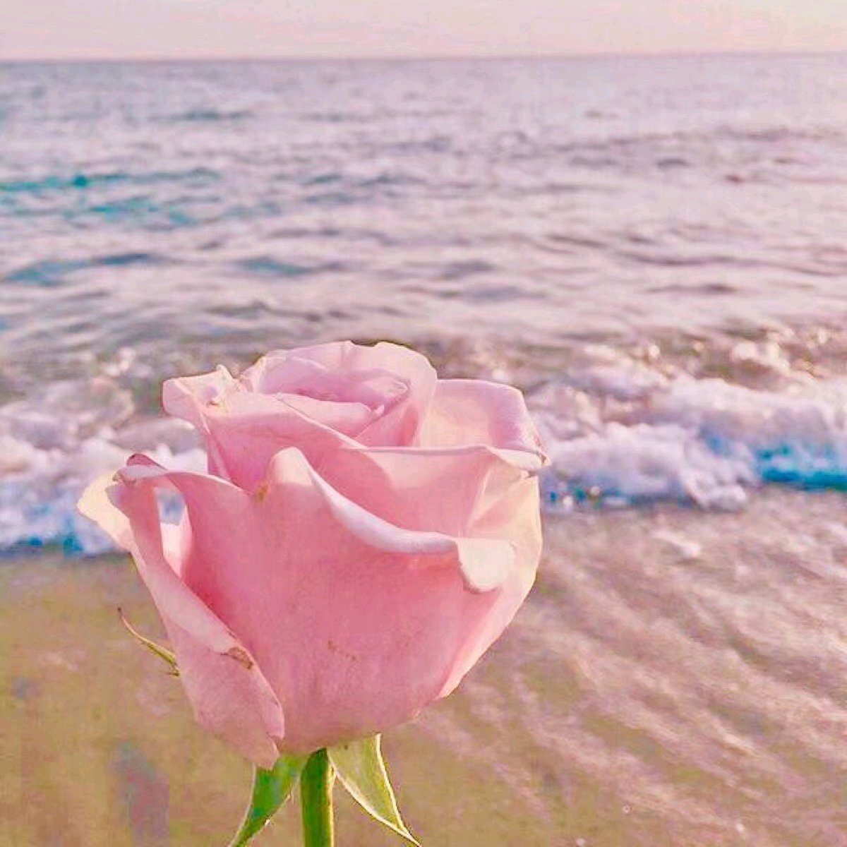 微信意境朋友圈配图