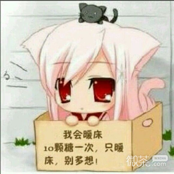 没得救了微信恶搞斗图表情包
