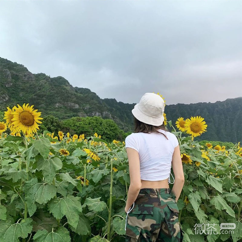 微信唯美清新文艺女头