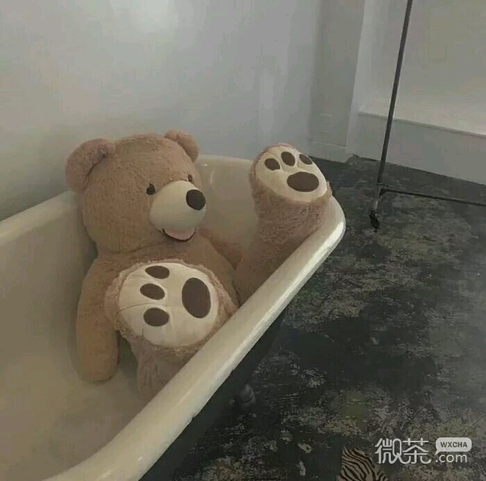 微信清新风景静物朋友圈配图