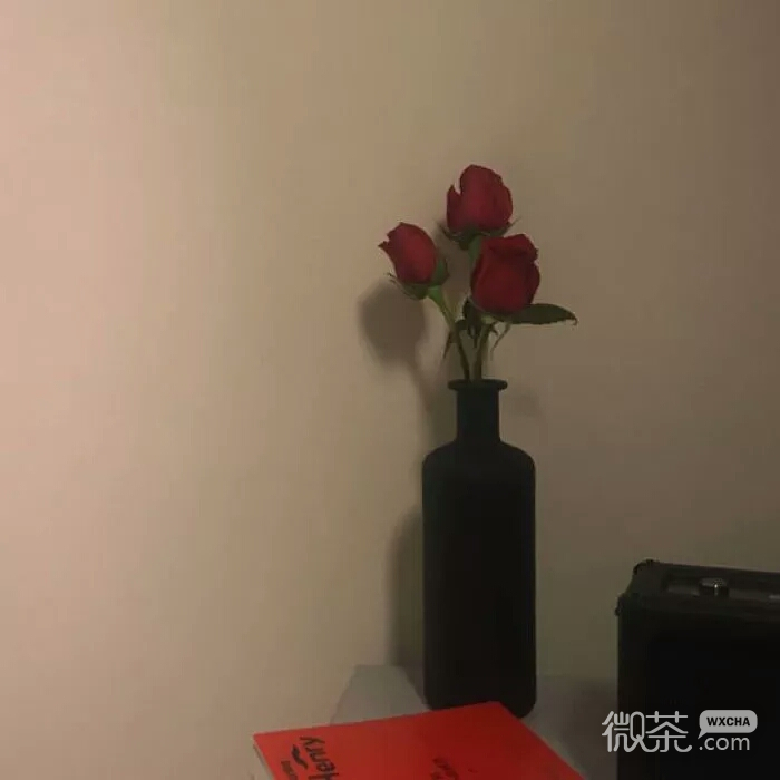 微信清新风景静物朋友圈配图