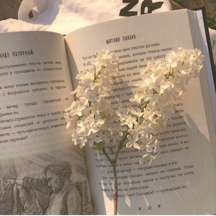 微信唯美文艺清新朋友圈配图