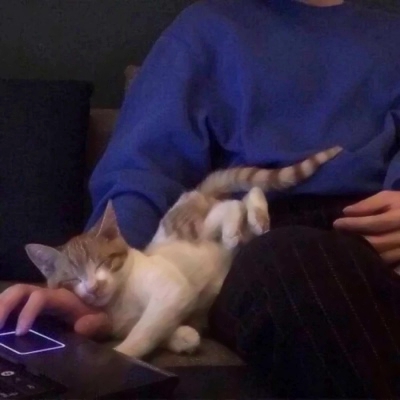 潮男与猫系列微信时尚头像合集下载
