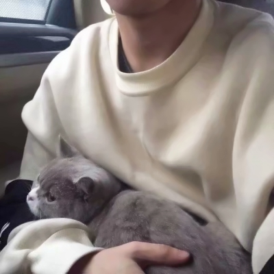 潮男与猫系列微信时尚头像合集下载