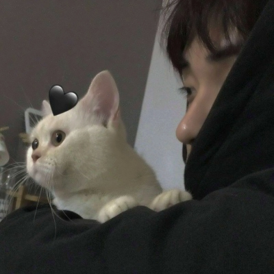 潮男与猫系列微信时尚头像合集下载