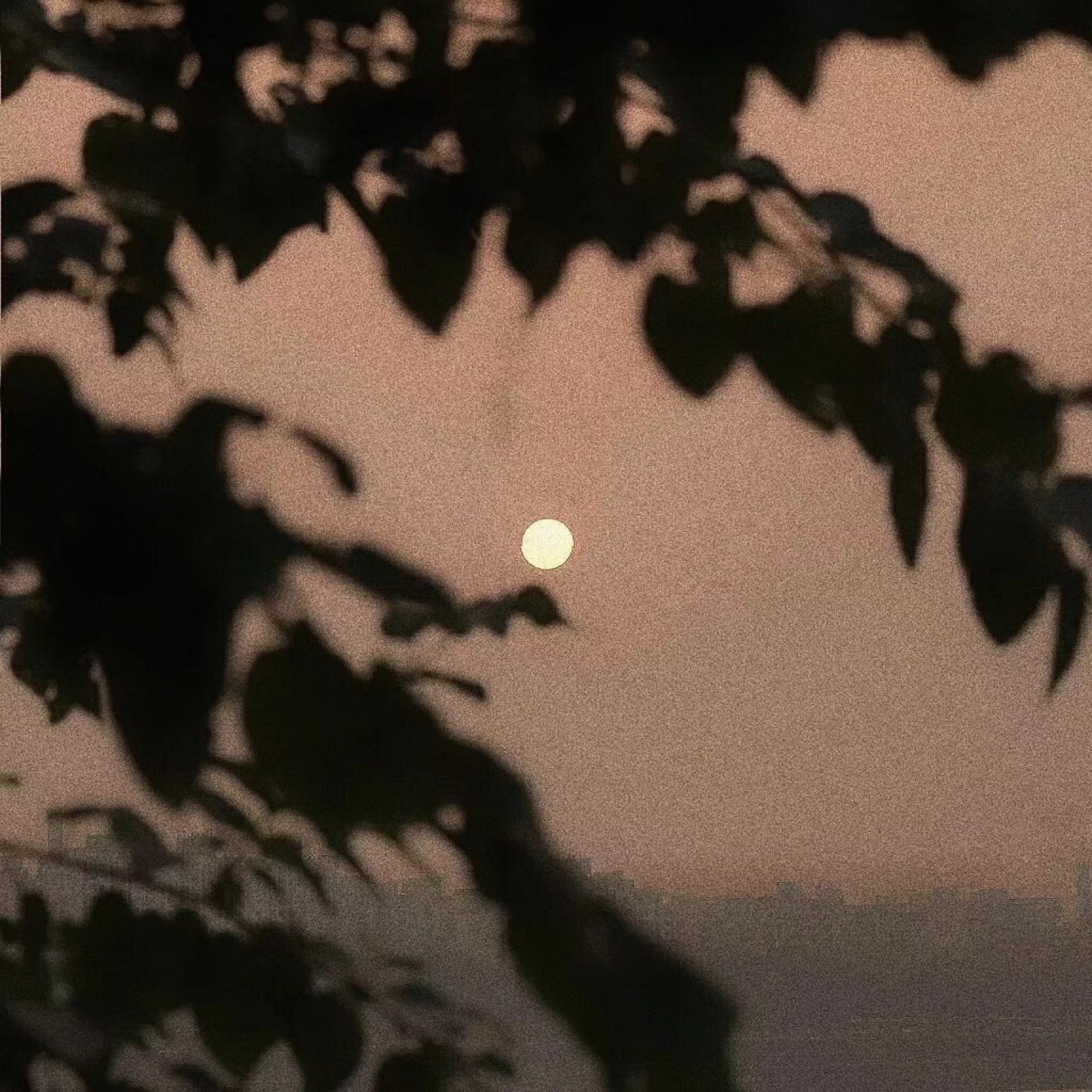 微信意境朋友圈配图