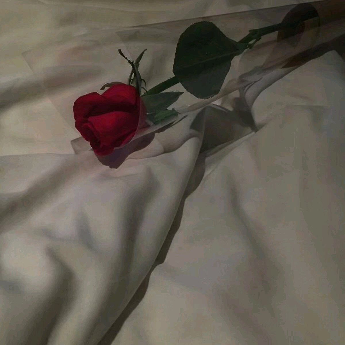 微信意境朋友圈配图