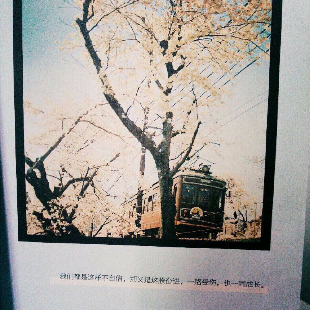 微信唯美文艺清新朋友圈配图