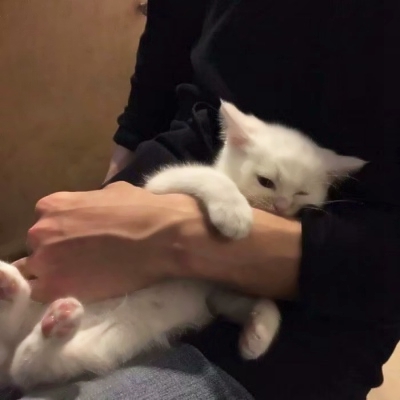 潮男与猫系列微信时尚头像合集下载