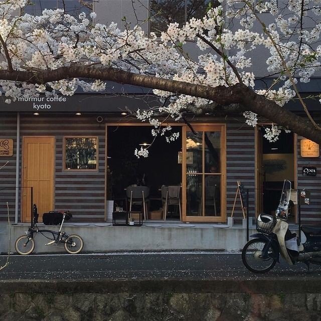 微信清新森系文艺朋友圈配图