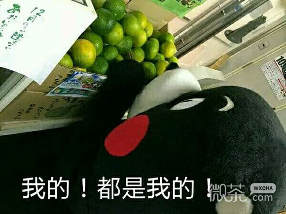 懵逼微信恶搞斗图表情包