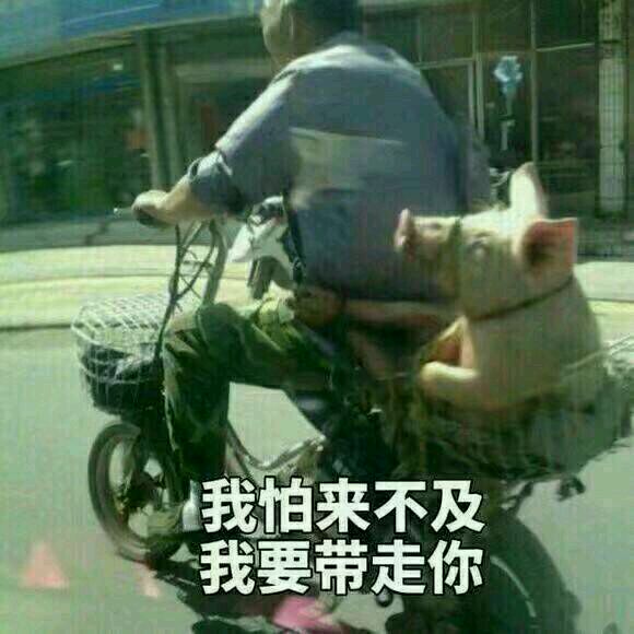 绝望微信恶搞傻屌表情包