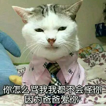 绝望微信恶搞傻屌表情包