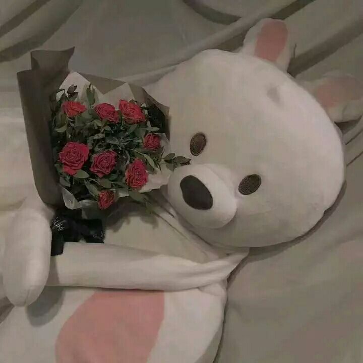微信好看的森系朋友圈配图