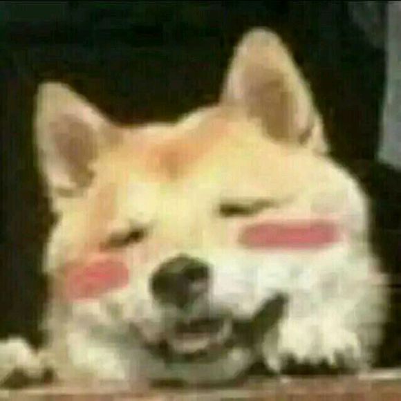 绝望微信恶搞傻屌表情包