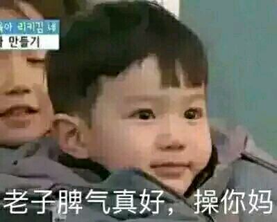 绝望微信恶搞傻屌表情包