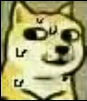 绝望微信恶搞傻屌表情包