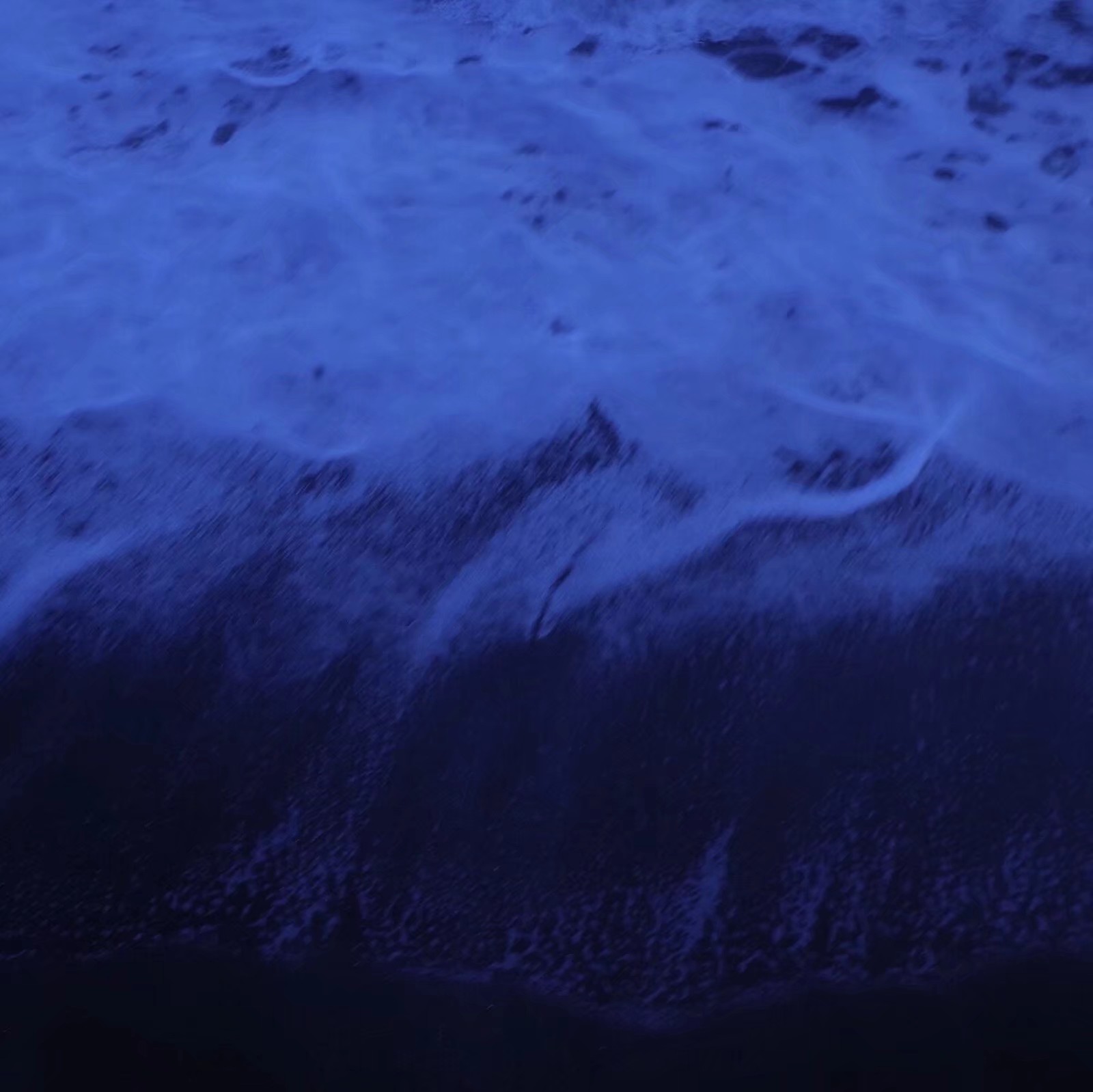 清新森系文艺朋友圈配图