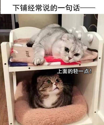 学校住宿日常系列微信萌宠表情包下载