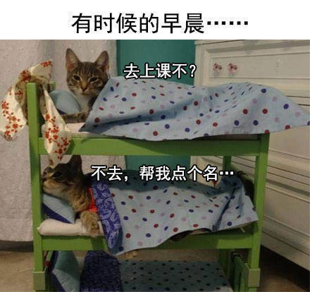 学校住宿日常系列微信萌宠表情包下载