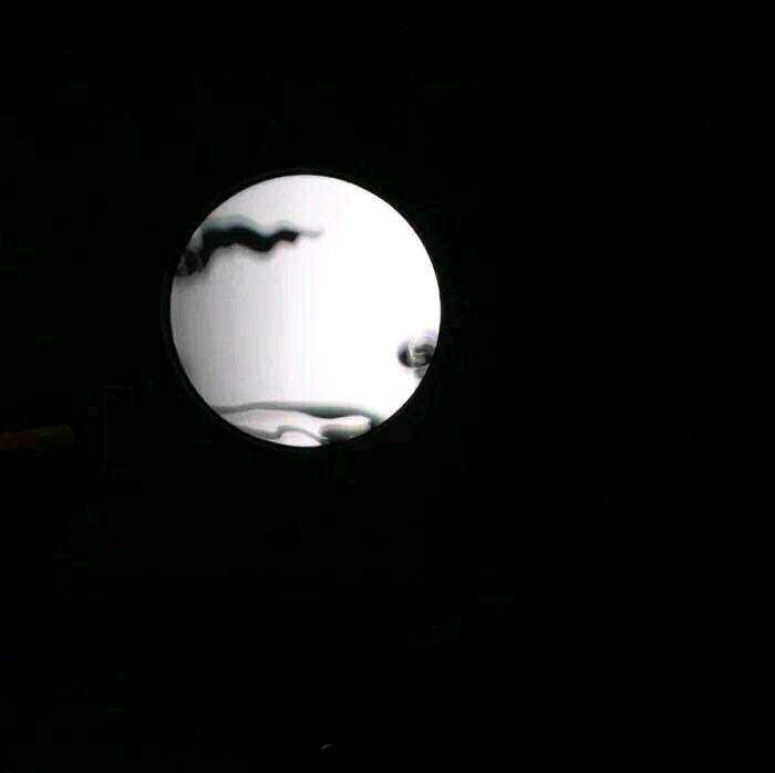 清新森系文艺朋友圈配图