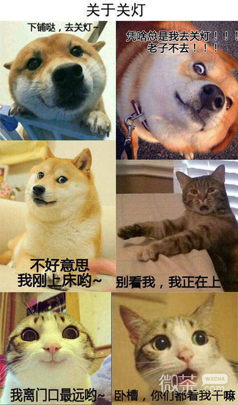 学校住宿日常系列微信萌宠表情包下载