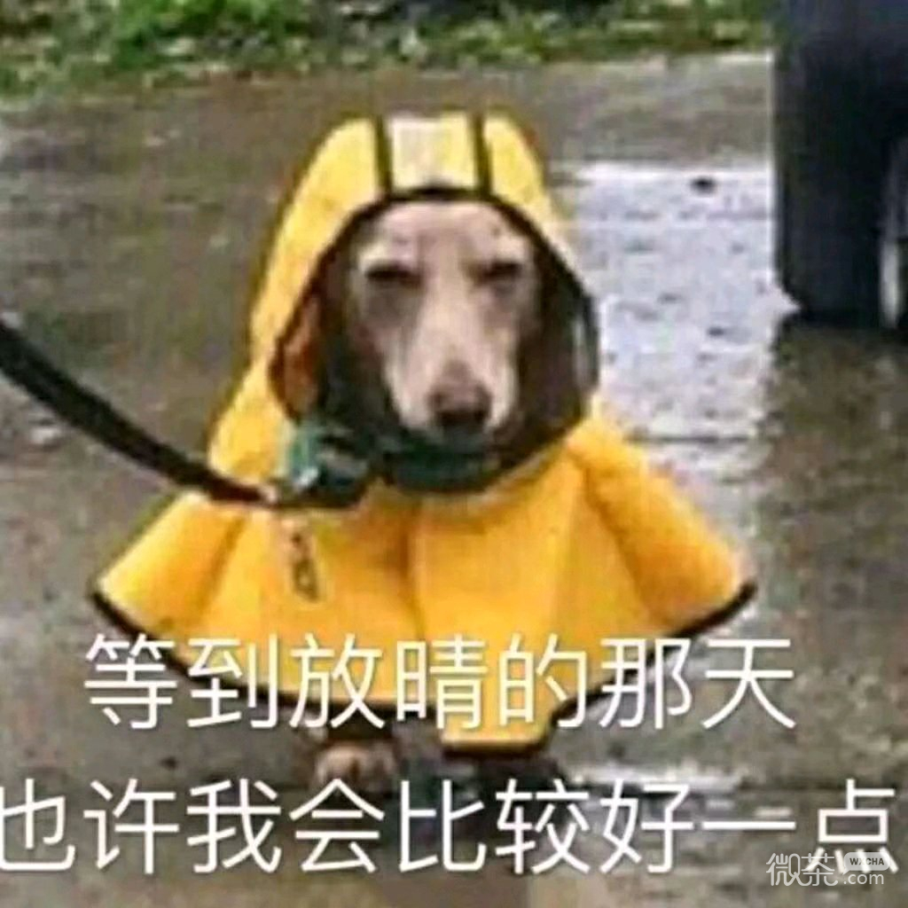 good微信恶搞群聊杂图表情包