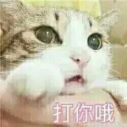 哦恶搞斗图微信表情包