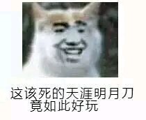 哦恶搞斗图微信表情包