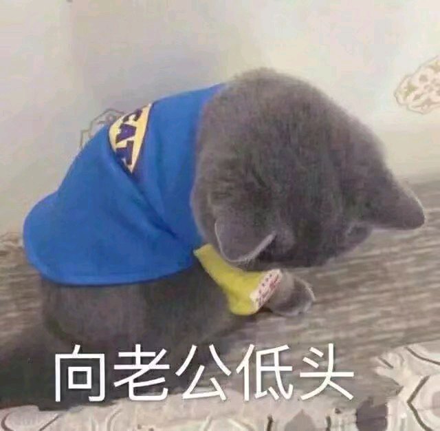 头大微信恶搞斗图表情包