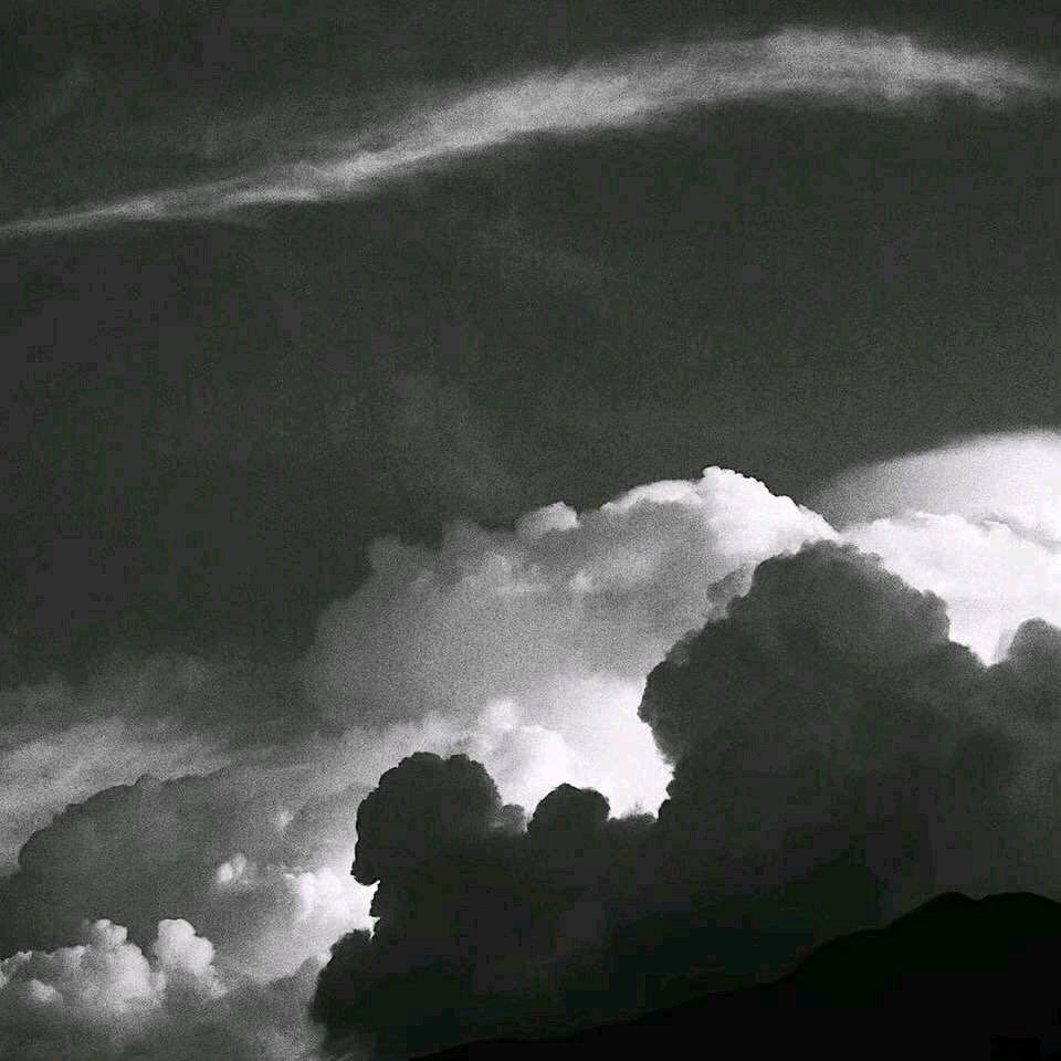 清新森系文艺朋友圈配图