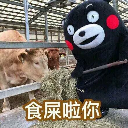 哦恶搞斗图微信表情包