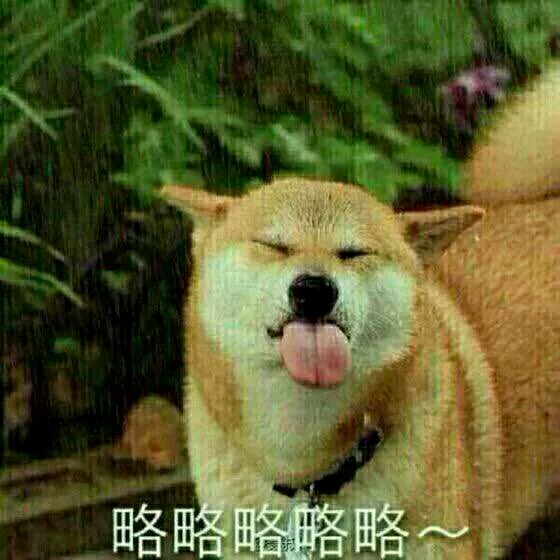 哦恶搞斗图微信表情包