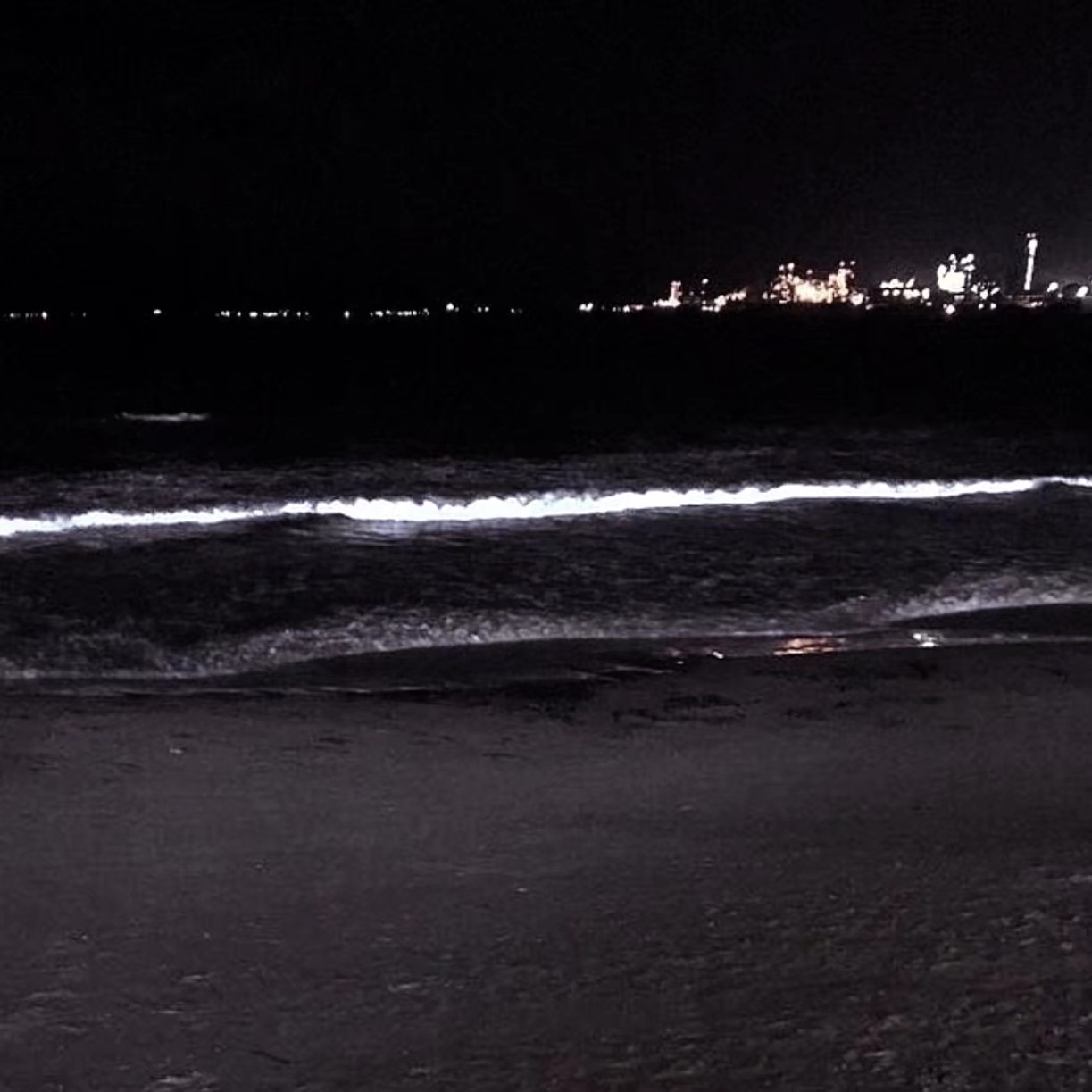 清新森系文艺朋友圈配图