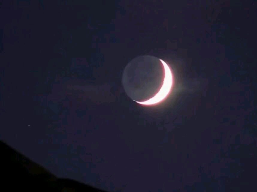 清新森系文艺朋友圈配图