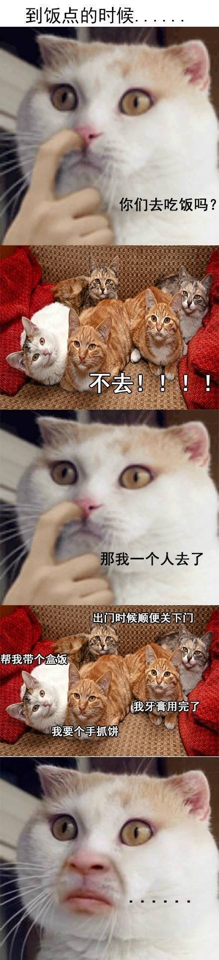 学校住宿日常系列微信萌宠表情包下载