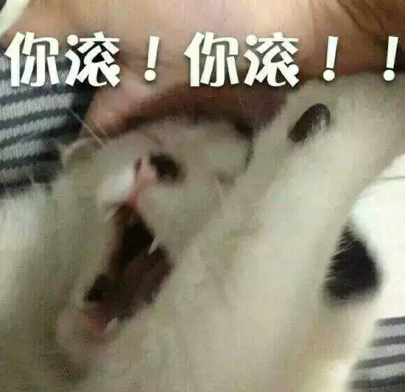 哦恶搞斗图微信表情包