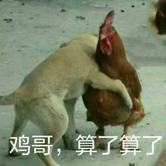 哦恶搞斗图微信表情包