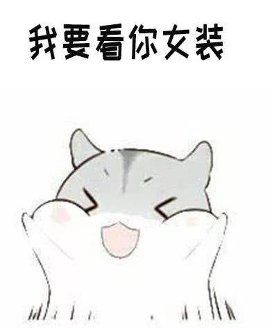 可爱萌萌哒的仓鼠系列微信表情包合集下载