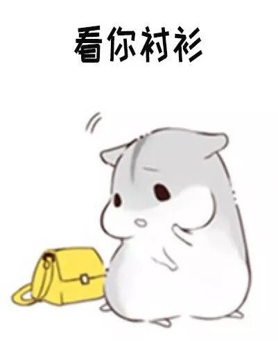 可爱萌萌哒的仓鼠系列微信表情包合集下载