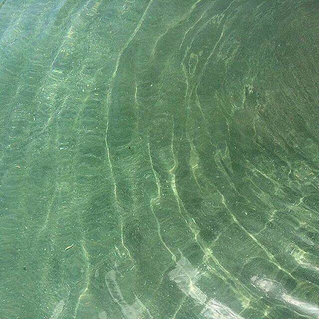 微信森系唯美朋友圈配图