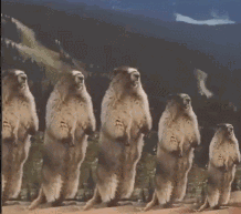 性暗示微信恶搞斗图表情包