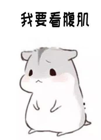 可爱萌萌哒的仓鼠系列微信表情包合集下载
