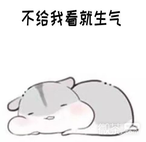 可爱萌萌哒的仓鼠系列微信表情包合集下载