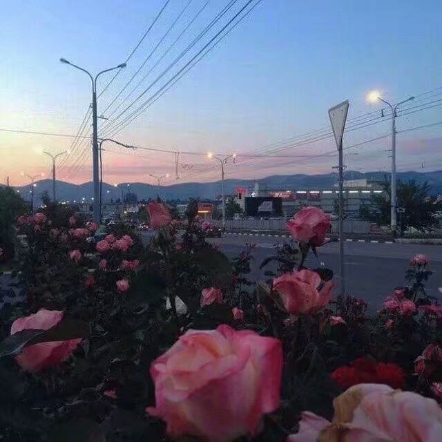 微信深沉风景静物朋友圈配图