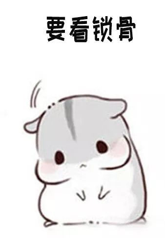 可爱萌萌哒的仓鼠系列微信表情包合集下载