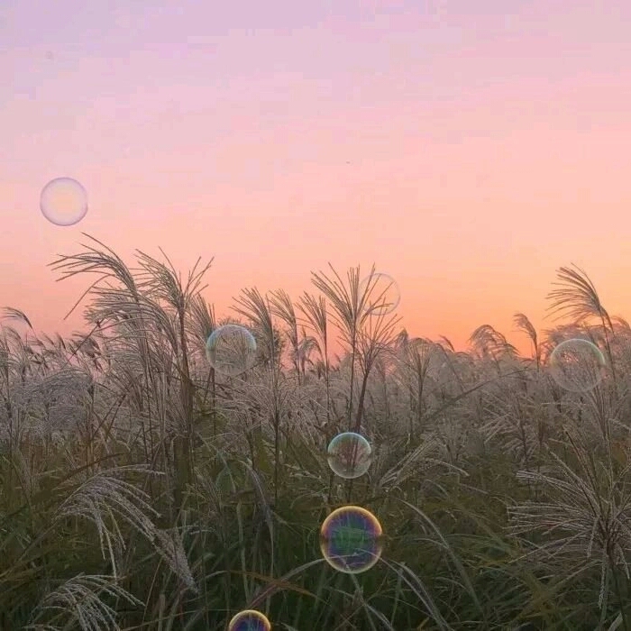 微信简洁粉色系朋友圈配图