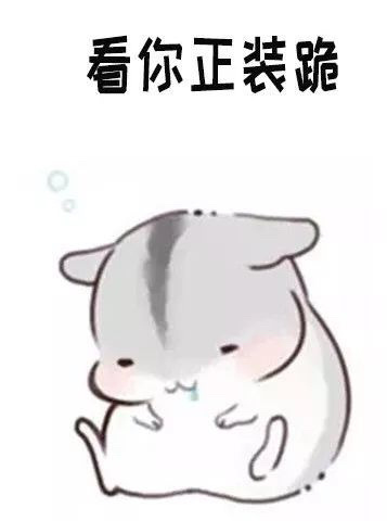 可爱萌萌哒的仓鼠系列微信表情包合集下载